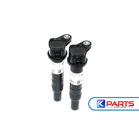 HYUNDAI AZERA * SANTA FE IGNITION COIL 273013E400